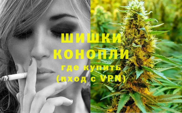 дживик Вязники
