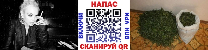 Шишки марихуана тримм Отрадный